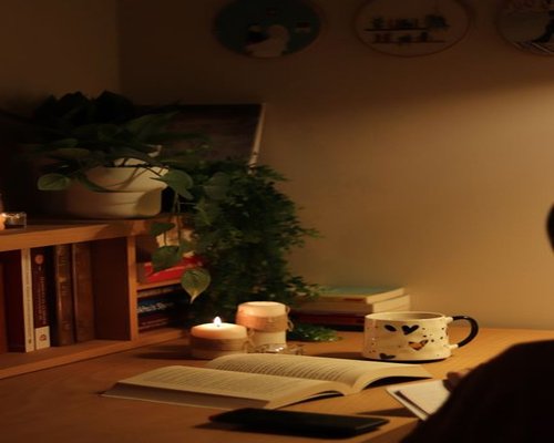 A well-organized study desk bathed in soft afternoon natural light, creating a comfortable reading environment